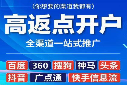 百度竞价效果监控与调整：案例分析及实战技巧