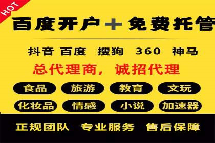 SEM推广案例：打造高效广告投放策略